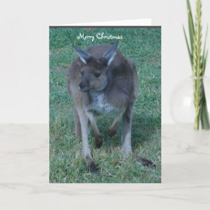 Cartão De Festividades Gray Kangaroo Christmas