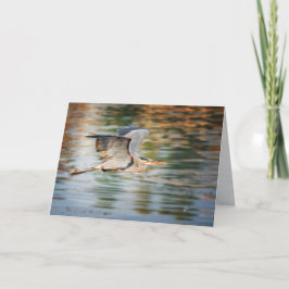 Cartão De Festividades Great Blue Heron Bird All Occasion Blank