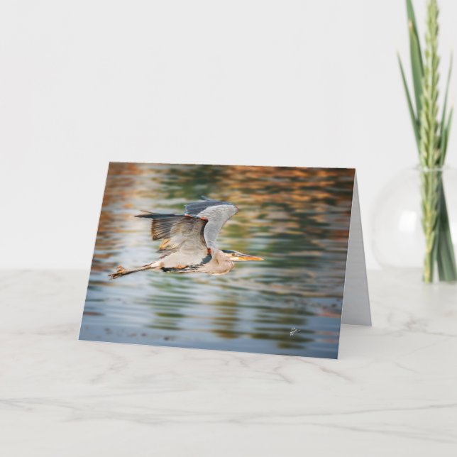 Cartão De Festividades Great Blue Heron Bird  All Occasion Blank (Frente)