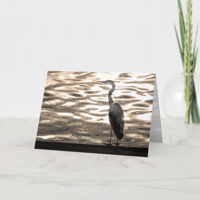 Cartão De Festividades Great Blue Heron Bird At Sunset Blank (Frente)