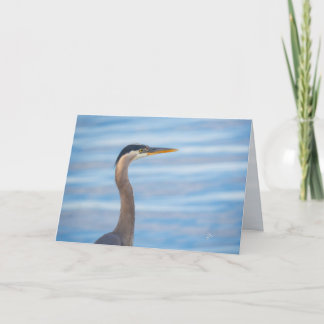 Cartão De Festividades Great Blue Heron Wildlife Bird Photography Blank