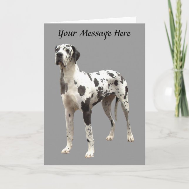 Cartão De Festividades Great Dane Harlequin Greeting Card (Frente)