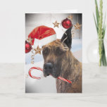 CARTÃO DE FESTIVIDADES GREAT DANE WEARS SANTA HAT ON EAR<br><div class="desc">Great Dane get into the Spirit of Christmas while wearing a santa hat on his ear and carrying a candy cane in his mouth on a fun Christmas card design.</div>