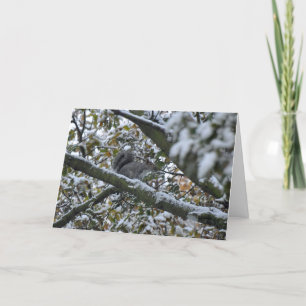 Cartão De Festividades Grey squirrel Christmas card