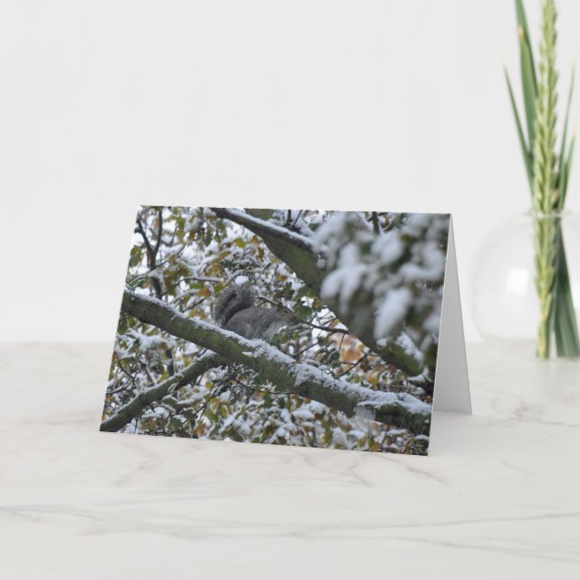 Cartão De Festividades Grey squirrel Christmas card (Frente)