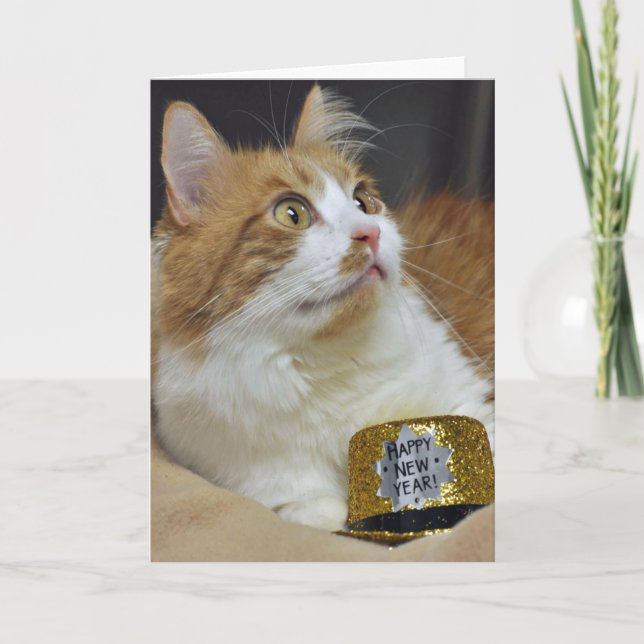 Cartão De Festividades Greyfoot Cat Rescue New Years Greeting Card (Frente)