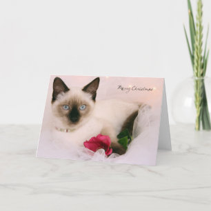 Cartão De Festividades Greyfoot Cat Rescue Siamese Merry Christmas Card