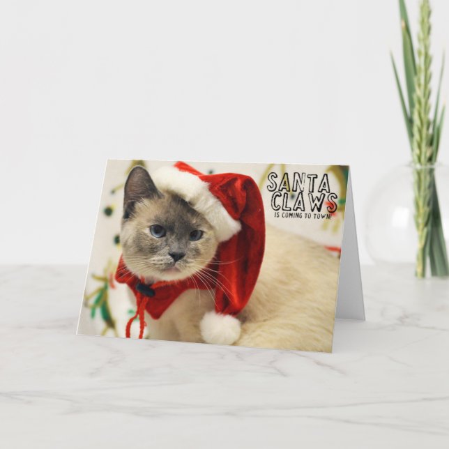 Cartão De Festividades Greyfoot Cat Rescue Siamese Santa Card (Frente)