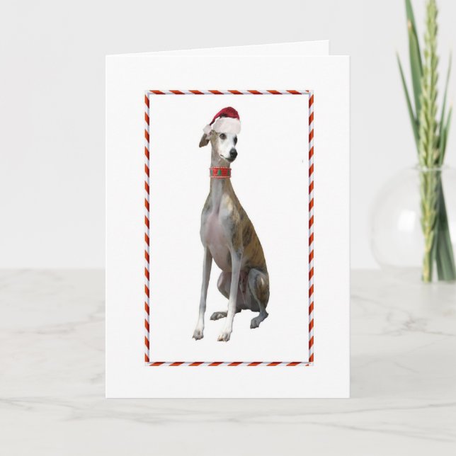 Cartão De Festividades Greyhound Christmas Card (Frente)