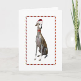 Cartão De Festividades Greyhound Christmas Card