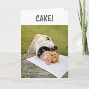 Cartão De Festividades Greyhound Dog Birthday Cake