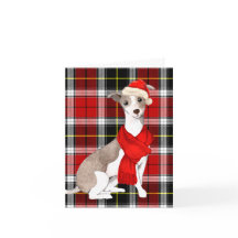 Greyhound italiano Natal e Xadrez de Férias