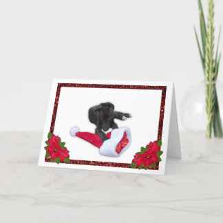 Cartão De Festividades Greyhound Puppy com Papai Noel de Natal