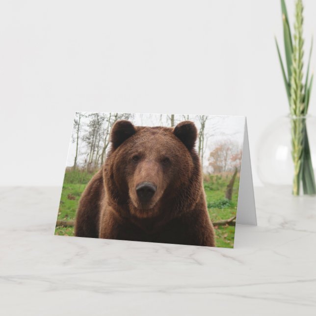 CARTÃO DE FESTIVIDADES GRIZZLY BEAR HAPPY BIRTHDAY BEAR HUG CARDS (Frente)
