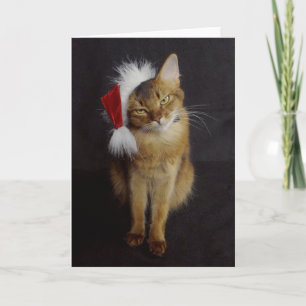 Cartão De Festividades Grouchy Somali Cat no Natal do Santa Hábito