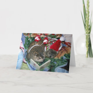 Cartão De Festividades Groundhog Christmas Card