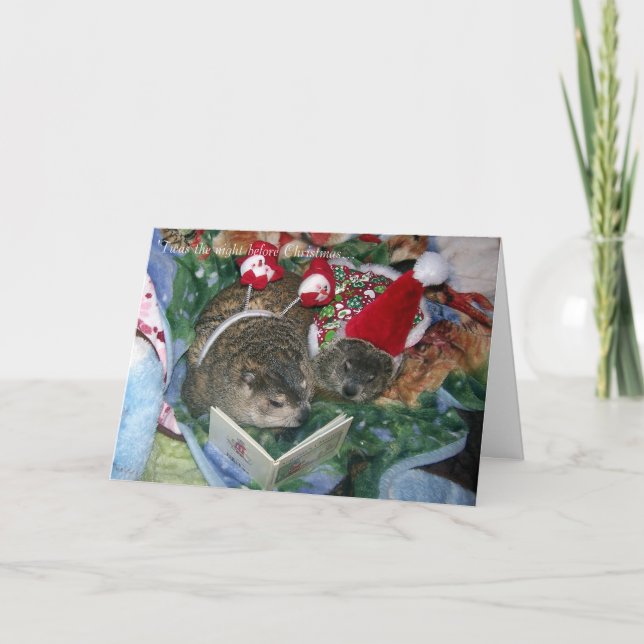 Cartão De Festividades Groundhog Christmas Card (Frente)