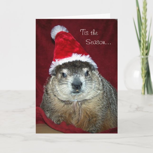 Cartão De Festividades Groundhog Clara Holiday Greeting Card (Frente)