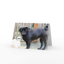 Grumpy Pug Valentine's Day Card