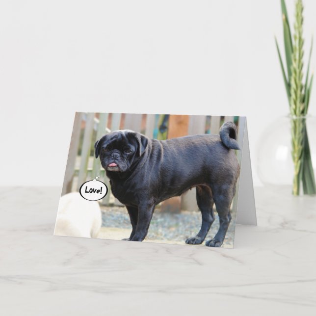 Cartão De Festividades Grumpy Pug Valentine's Day Card (Frente)