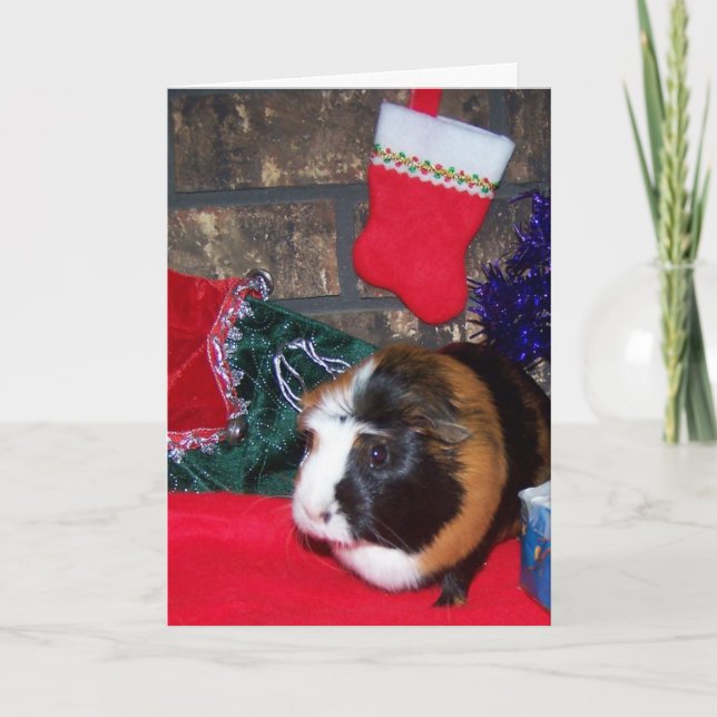 Cartão De Festividades Guinea Pig (Frente)