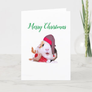 Cartão De Festividades Guinea Pig Christmas