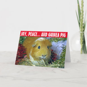Cartão De Festividades Guinea pig Christmas Card