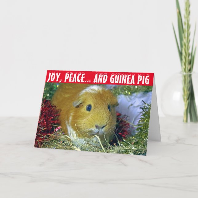 Cartão De Festividades Guinea pig Christmas Card (Frente)
