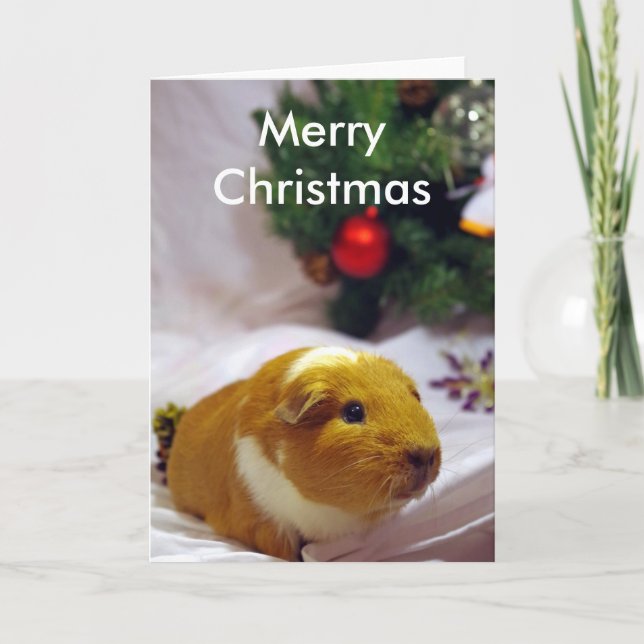 Cartão De Festividades Guinea pig Christmas Card (Frente)