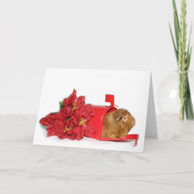 Cartão De Festividades Guinea Pig Christmas mail (Frente)