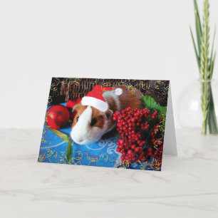 Cartão De Festividades Guinea Pig Holiday Card
