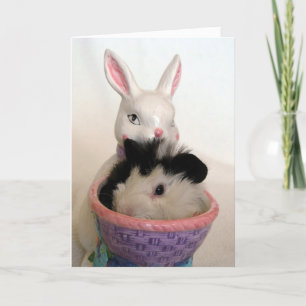 Cartão De Festividades Guinea Pig in Bunny Planter For Easter