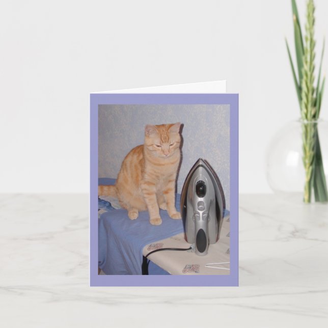 Cartão De Festividades Hal the Cat Valentines Day Card (Frente)