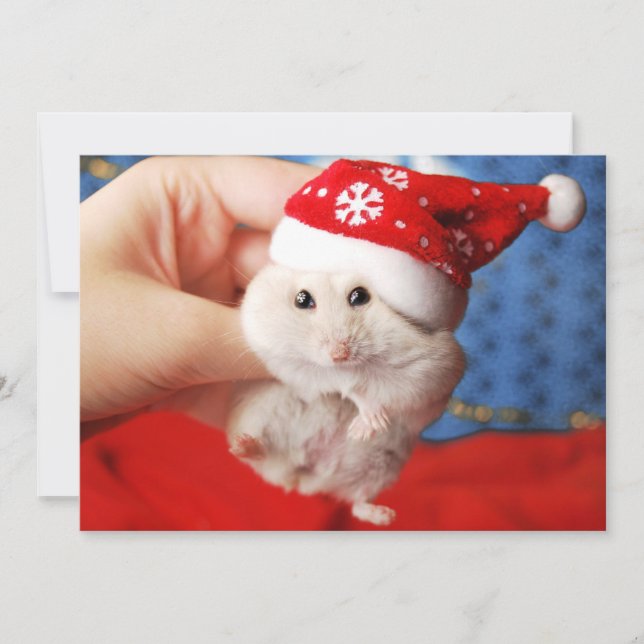 Cartão De Festividades Hamster anão bonito Tutku com chapéu de Papai Noel (Frente)