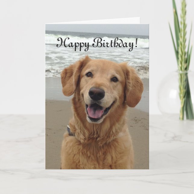 Cartão De Festividades Happy Birthday Golden Retriever (Frente)