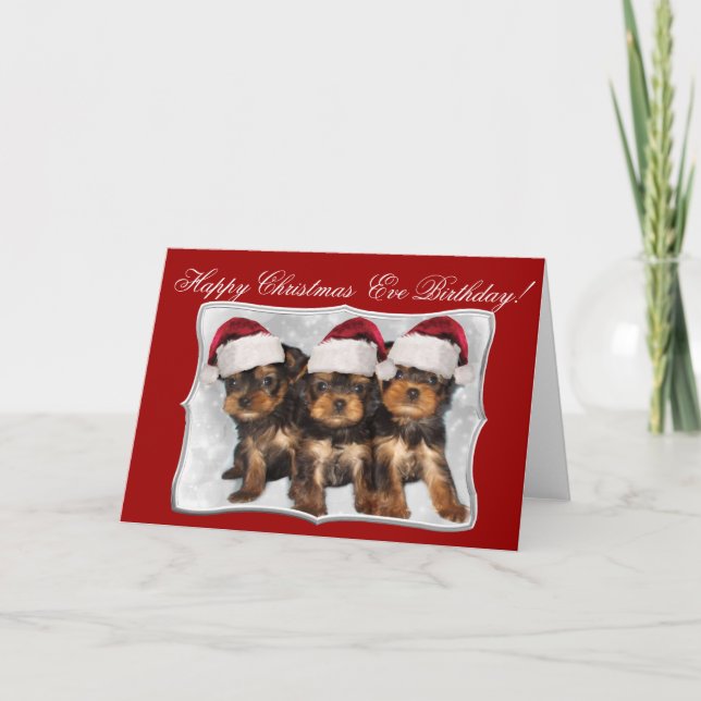 Cartão De Festividades Happy Christmas  Eve Birthday Yorkshire Terriers (Frente)
