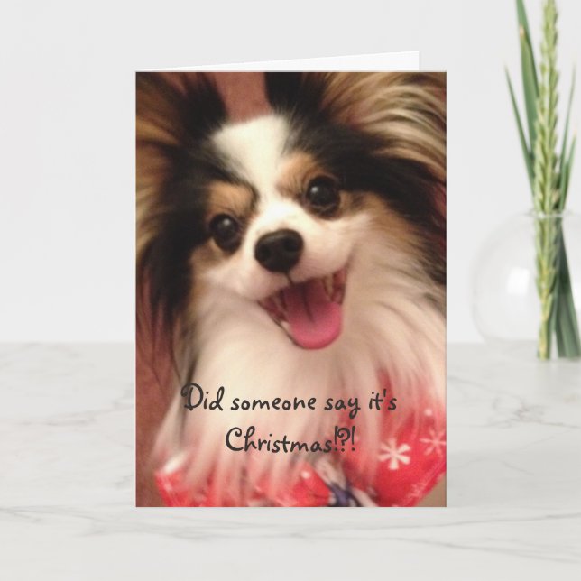 Cartão De Festividades Happy Christmas Smiling Papillon Card (Frente)