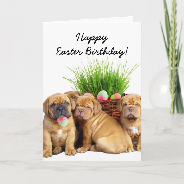 Cartão De Festividades Happy Easter Birthday Dogue de Bordeaux pups card (Frente)