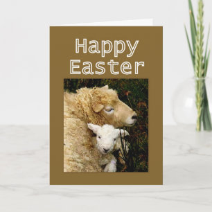 Cartão De Festividades Happy Easter  Blessings - Ewe and Lamb
