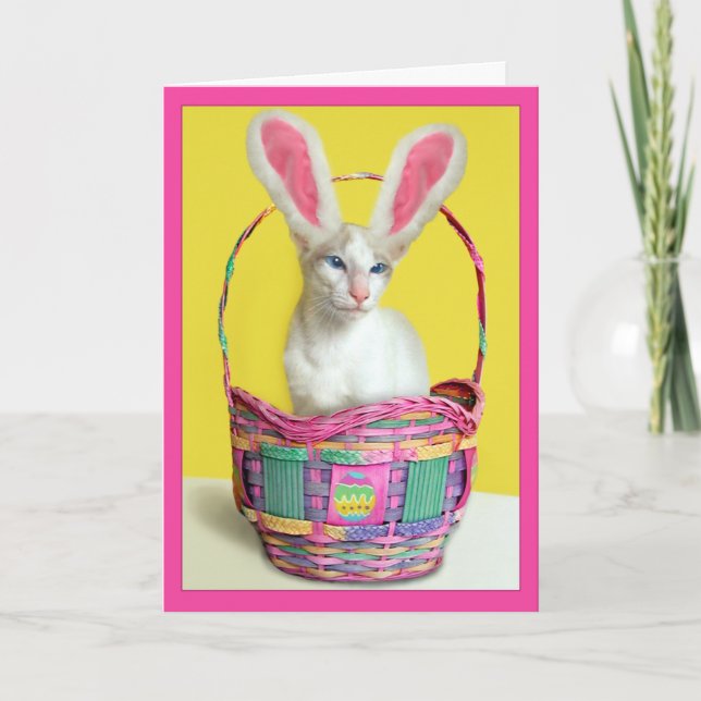 Cartão De Festividades Happy Easter Bunny Cat (Frente)