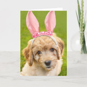 Cartão De Festividades Happy Easter For Anyone Labradoodle Puppy Don in B