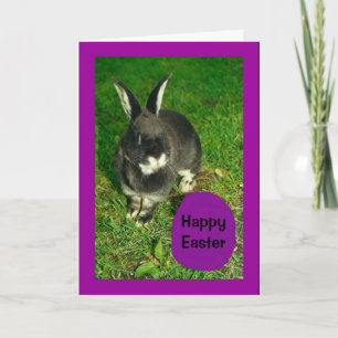 Cartão De Festividades Happy Easter From Somebunny Who Loves You!
