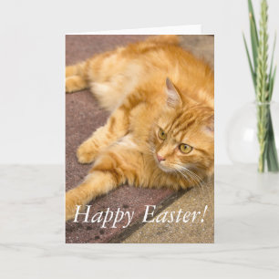 Cartão De Festividades Happy Easter Ginger Cat