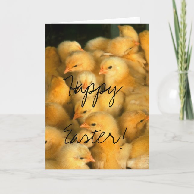 Cartão De Festividades Happy Easter! Lots of Chicks (Frente)