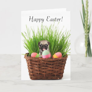 Cartão De Festividades Happy Easter pug puppy greeting card