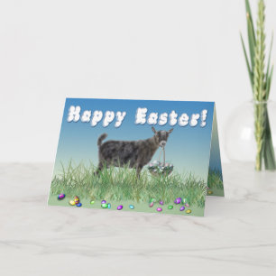 Cartão De Festividades Happy Easter Pygmy 2 Goat
