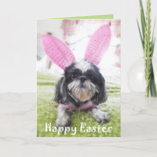 Cartão De Festividades Happy Easter Shitzu Bunny Greeting Card