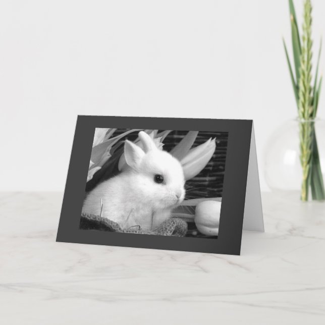 CARTÃO DE FESTIVIDADES HAPPY EASTER TO MY "HONEY BUNNY" (Frente)