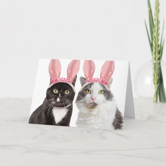 Cartão De Festividades Happy Easter Two Cute Cats in Bunny Ears Humor (Frente)