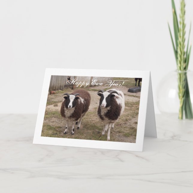 Cartão De Festividades "Happy Ewe Year" Jacob Sheep New Year Card (Frente)